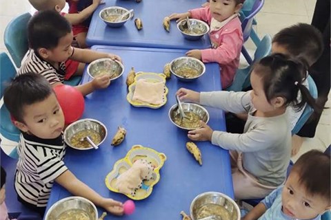 KẾ HOẠCH CHĂM SÓC NUÔI DƯỠNG NĂM HỌC 2024- 2025